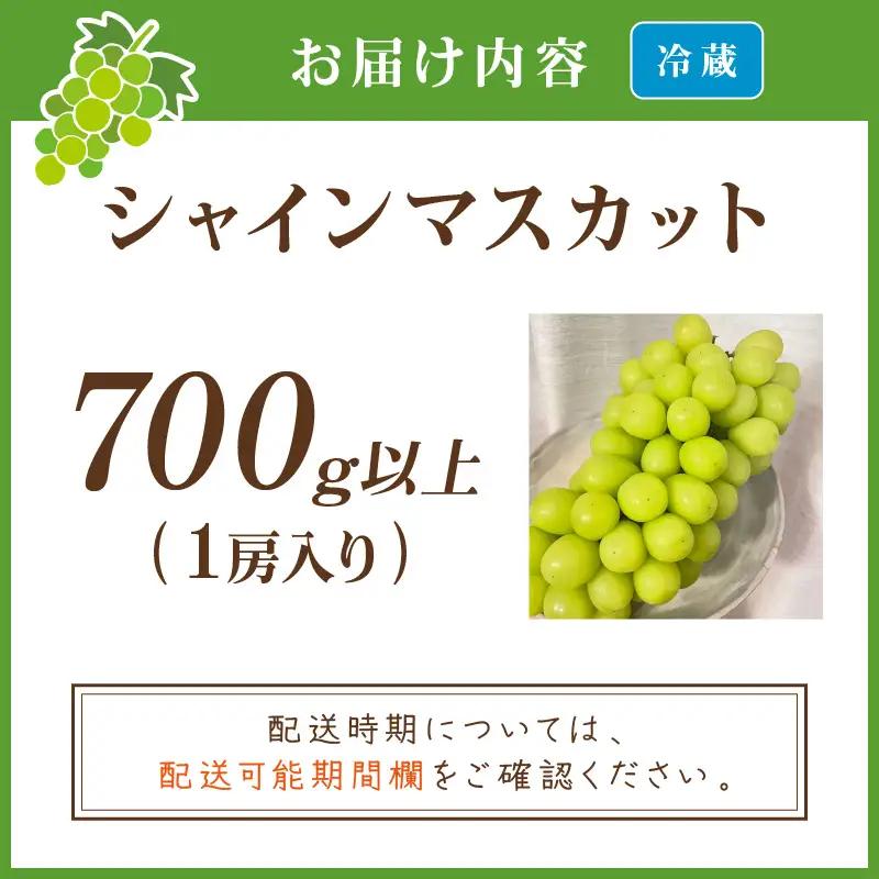 シャインマスカット 700g以上 | 京丹後市 シャインマスカット