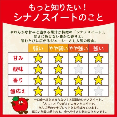 【27年4月より順次発送】平均糖度13度以上! シナノスイート 約10kg 訳あり  クール便【配送不可地域：離島・沖縄県】