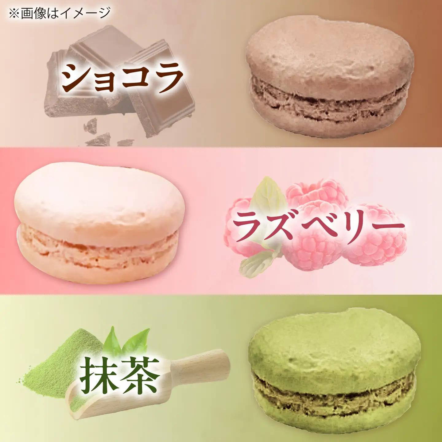 マカロン 10個入り 洋菓子 マカロン スイーツ 愛西市 / スイーツカフェハル[AEDP005]