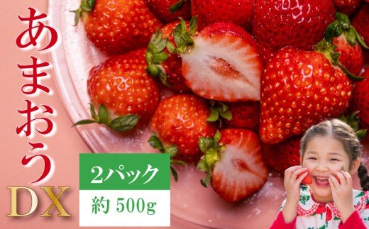 【2026年12月発送】先行予約 福岡県産 いちご あまおう  約250g×2P (約500g) 冷蔵 小分け いちご 苺 イチゴ フルーツ 果物 スイーツ くだもの 冬 春 旬 福岡 九州 福岡県 川崎町 数量限定 期間限定