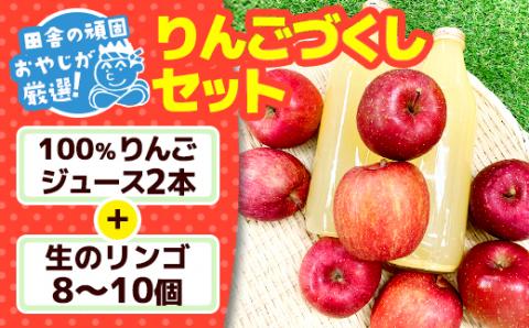 田舎の頑固おやじが厳選！100％りんごジュース2本＆生りんご8～10個のりんごづくしセット【令和3年9月から順次お届け】