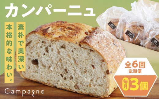 パン【全6回定期便】【冷凍】カンパーニュ3種セット (プレーン・いちじく・五穀) 冷凍パン 定期便 冷凍 ハードパン 食事パン 朝食 ベーカリー 食べ比べ フルーツ 果物 ドライいちじく 五穀 プレーン 全粒粉 トースト 軽食 酵母 美味しい おいしい 冷凍保存 カンパーニュ 詰め合わせ 人気 おすすめ お取り寄せ 町おこし 素材 厳選 食材 愛媛県大洲市/株式会社アライ  [AGAY052]