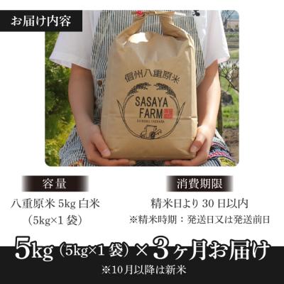 ふるさと納税 東御市 令和7年新米受付【3回定期便】八重原米5kg(5kg×1袋)白米※2025年10月以降発送|笹屋農園 |  | 02