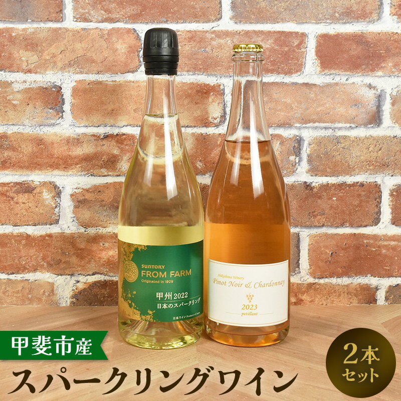【ふるさと納税】甲斐市産スパークリングワイン2本セット　ワイン 家飲み スパークリング 日本ワイン 山梨ワイン 定番 テーブルワイン お酒 山梨 甲斐市 サントリー 甲州 飲み比べ（AD-296）