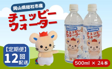 【定期便】そうじゃの水「チュッピーウォーター」（500ml×24本）〔12回配送〕156-007
