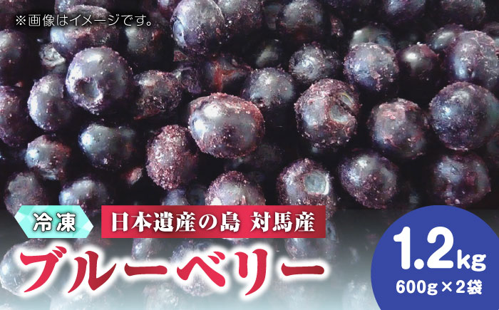 【先行予約】大容量 対馬産 ブルーベリー 1.2kg（ 冷凍 ）【 さほの里ファーム 】《 対馬市 》 有機 旬 果物 フルーツ [WBG001]
