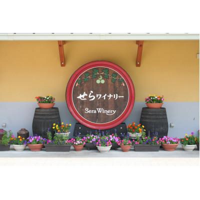 ふるさと納税 世羅町 【世羅町産ブドウの日本ワイン】せらワイン白2種セット |  | 02