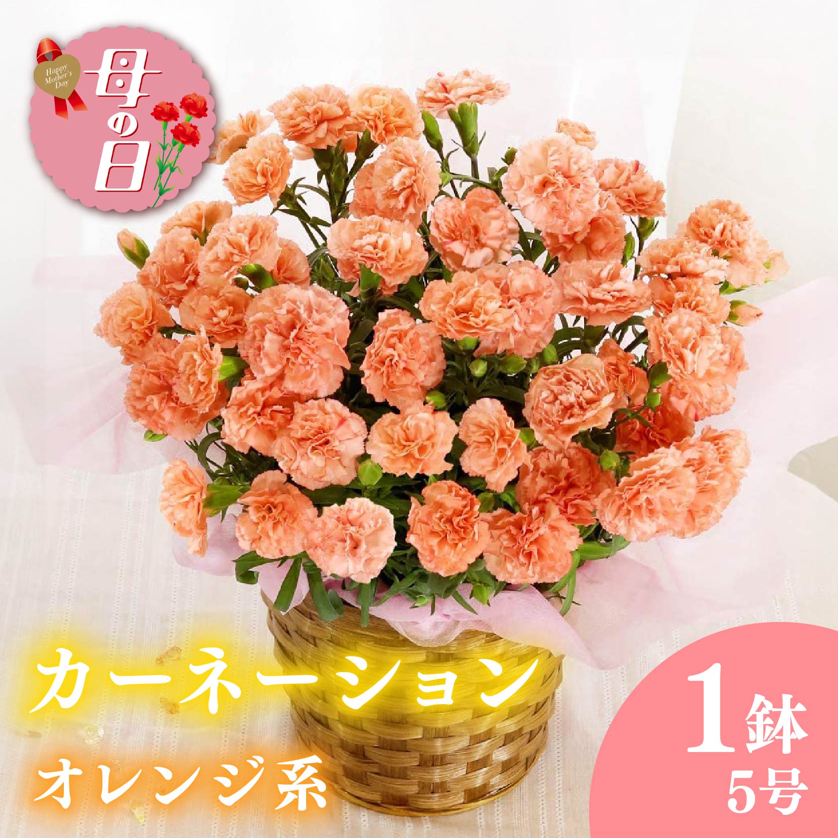 【ふるさと納税】 【先行予約】 母の日に！ カーネーション 花鉢 オレンジ 5号 花 贈り物 お祝い 植物 季節 生花 フラワー ギフト 母の日 2026年5月から順次発送 オンライン決済限定 静岡県 藤枝市