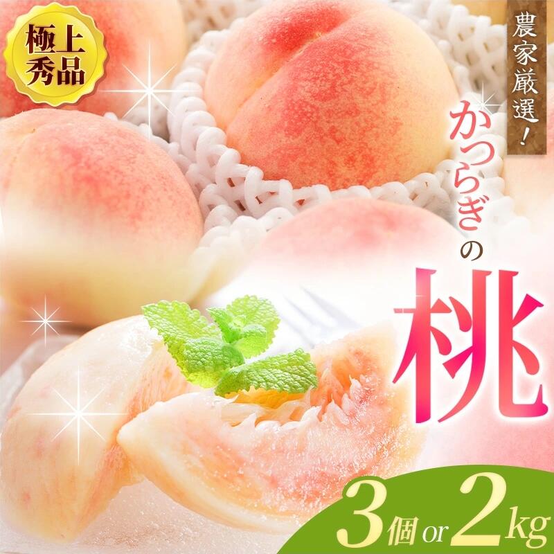 【ふるさと納税】【先行予約】【厳選】あふれる果汁で口いっぱい！ 和歌山県産 桃 【選べる容量】3玉 2kg 2025年6月末頃～2025年8月末頃に順次発送予定（お届け日指定不可）/ 和歌山 モモ フルーツ もも 白桃 果物 くだもの