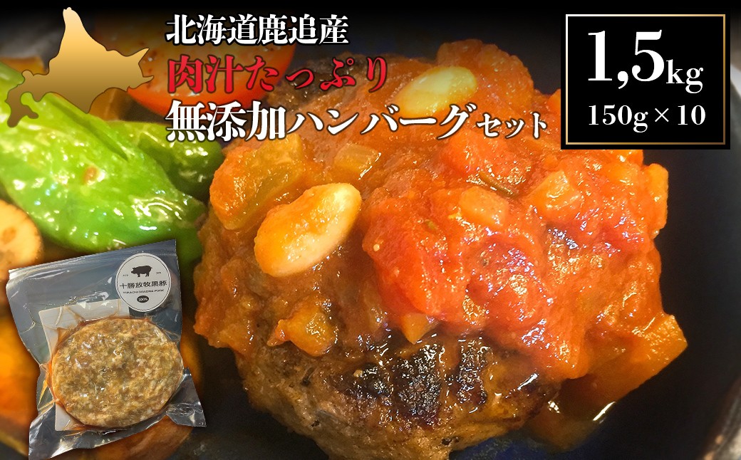 
            鹿追産　自然放牧黒豚　肉汁たっぷり無添加ハンバーグセット　150ｇ×10【 ふるさと納税 人気 おすすめ ランキング 黒豚 自然放牧黒豚 ハンバーグ はんばーぐ バーグ 小分け 肉汁 惣菜 豚肉 加工肉 十勝 北海道 鹿追町 送料無料 】 SKN019
          