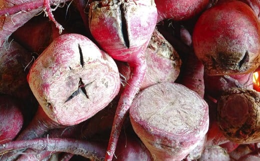 【訳あり】自社農園栽培 生ビーツ2kg