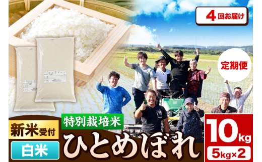 《新米予約》《定期便4ヶ月》令和8年産【白米】特別栽培米 ひとめぼれ 10kg（5kg×2袋）秋田県産 [ひとめぼれ 米 お米 白米 精米 特別栽培米 ブランド米 食卓 秋田県産 秋田県 由利本荘市]