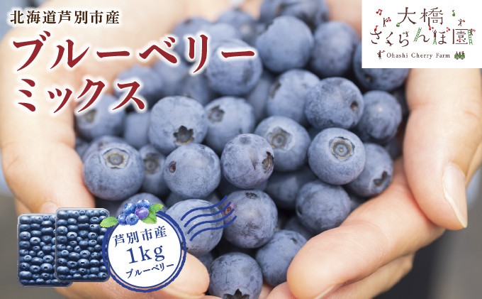 
            【先行受付】 ブルーベリー ミックス 1kg 北海道 芦別市 大橋さくらんぼ園[№5342-0059]
          