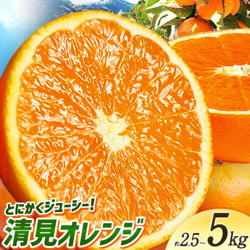 【ふるさと納税】とにかくジューシー 清見 オレンジ 約2.5kg 約5kg 株式会社魚鶴商店《2026年3月下旬-4月中旬頃より出荷予定》和歌山県 日高川町 柑橘 果物 フルーツ 清見オレンジ
