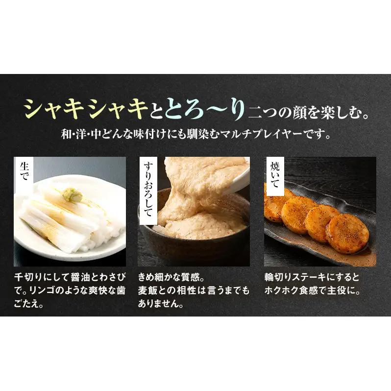 2026年12月発送 先行予約 十勝「忠類長いも」5kg (5～8本) L～2L［JA忠類］【 長芋 ながいも 山芋 芋 とろろ 野菜 根菜 産地直送 贈答 ギフト北海道 幕別 】
