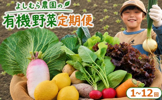 
                  野菜 定期便 詰め合わせ 10種 1回 2回 3回 4回 6回 12回 よしむら農園 オーガニック 有機 有機野菜 やさい ベジタブル おまかせ セット 一人暮らし おすすめ レタス とうもろこし トマト 有機栽培 JAS 栄養 贅沢 国産 大容量 人気 新鮮 今が旬 香川県 丸亀市
                