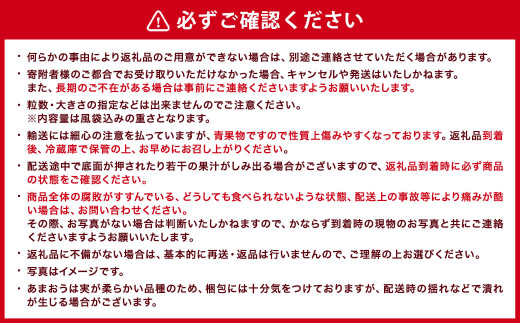 【ギフト用／特別栽培】 福岡県産 あまおう EX 約450g×2パック 【2027年1月上旬～3月下旬発送予定】 いちご イチゴ 苺 フルーツ 果物 くだもの ギフト 贈答用 贈り物 福岡県 遠賀町