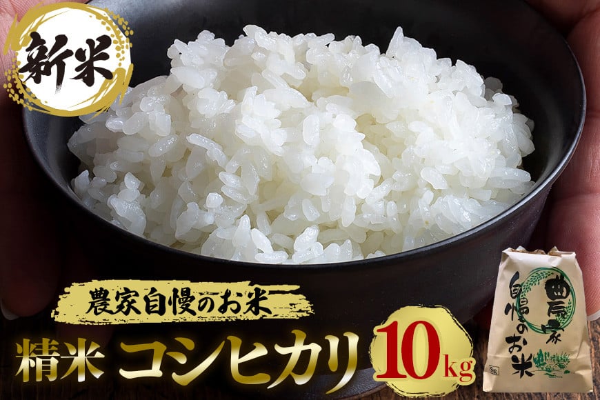 
            【令和6年産】精米 コシヒカリ 10kg お米 白米 米 おこめ ブランド米 こしひかり 10キロ 国産 単一原料米 コメ こめ ご飯 銘柄米 茨城県産 茨城 産直 産地直送 農家直送 お取り寄せ ふっくら ごはん 家庭用 贈答用 茨城県 石岡市 (G399)
          