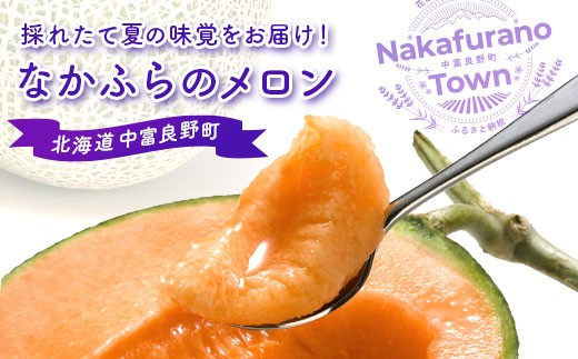 【2025年発送】なかふらのメロン 2玉（計3.2kg～）