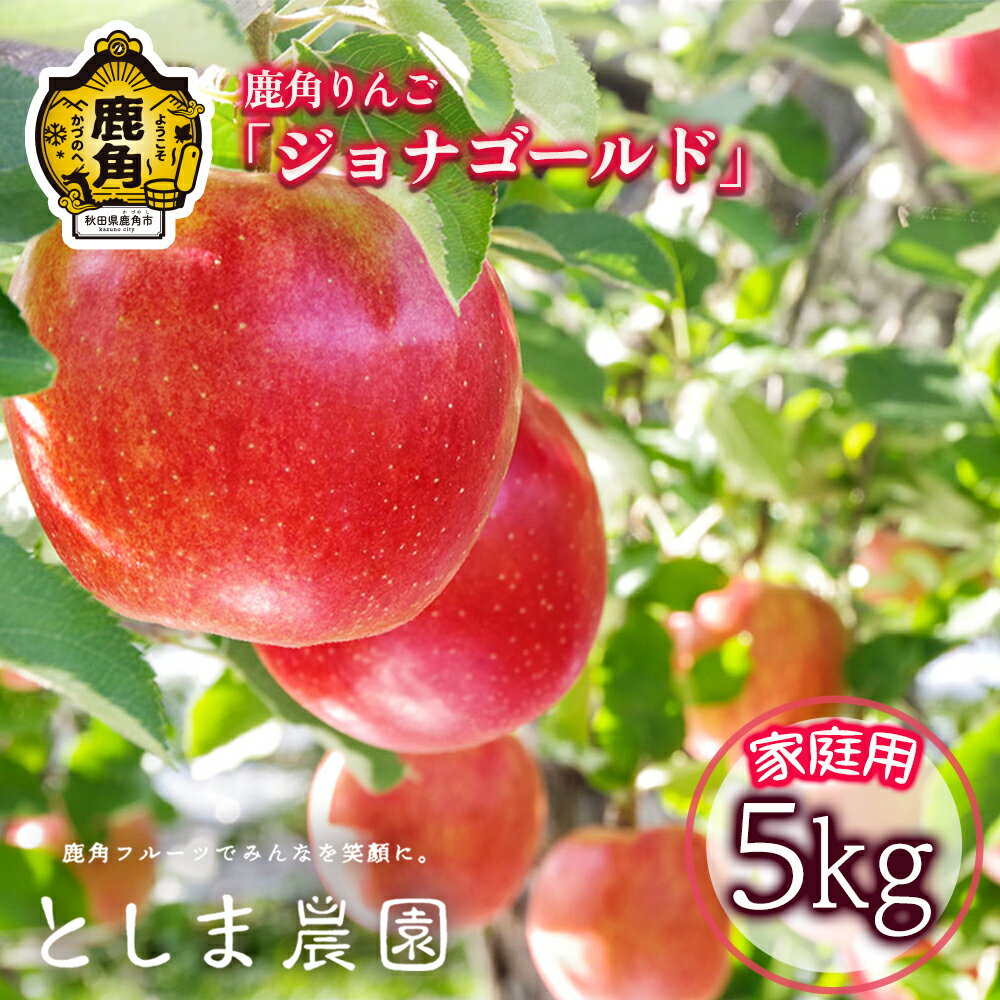 【ふるさと納税】《 先行予約 》 訳あり 鹿角 りんご ジョナゴールド 家庭用 約 5kg ( 12～20玉 ) リンゴ 完熟 旬 県産りんご お中元 お歳暮 贈り物 お見舞い グルメ ギフト 故郷 秋田 あきた 鹿角市 鹿角 送料無料 【としま農園】