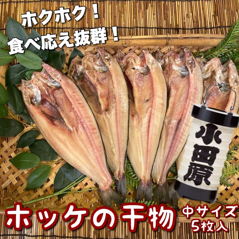 真ほっけの干物 中サイズ 5枚セット 142069_DQ155