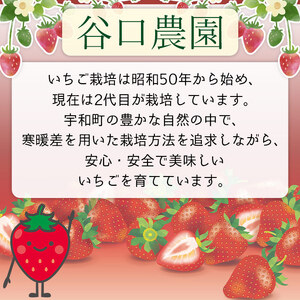 西予市宇和町産 谷口農園のいちご（紅い雫）8パック OFA0002