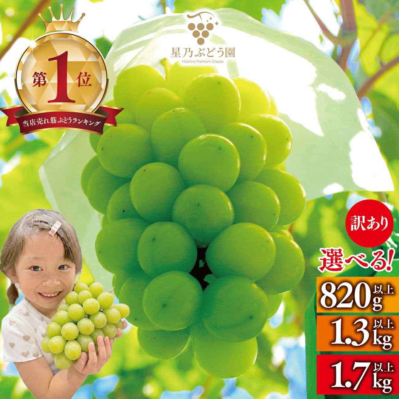 【ふるさと納税】【訳あり】粒の大きさが不揃い 星乃シャインマスカット　1.3kg以上/1.7kg以上/820g以上_ シャインマスカット ぶどう 葡萄 ブドウ 果物 くだもの 訳あり 岡山県 津山市 人気 おすすめ 送料無料 贈答 【配送不可地域：離島・北海道・沖縄県】【G1554831】