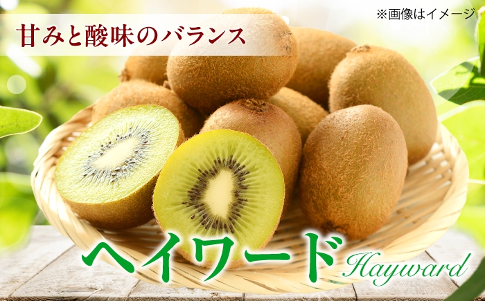 キウイフルーツ キウイ グリーンキウイ キウイ キゥイ キュウイ ジャム 贈答