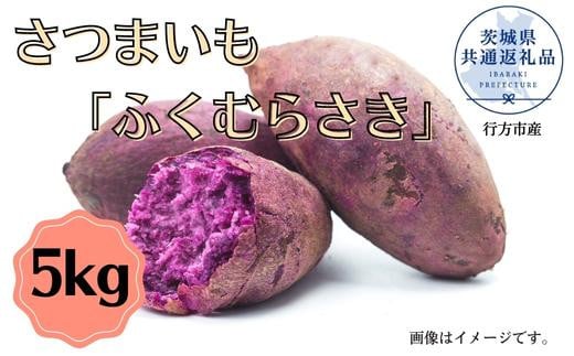 
さつまいも「ふくむらさき」5kg（茨城県共通返礼品／行方市産）
