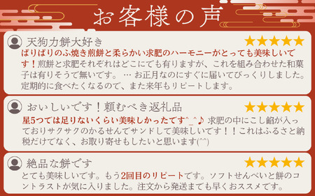 老舗の味 天狗力餅30個入　和菓子　力もち　こし餡　職人の手作り【knkd003】