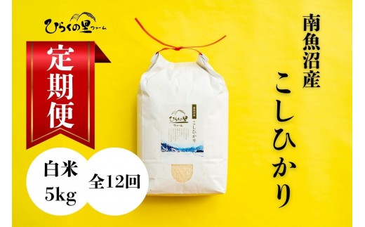 
                  【定期便】（全12ヶ月）もっちり甘い！南魚沼産コシヒカリ 白米5kg ひらくの里ファーム【定期便 銘柄米 ブランド米 精米 こしひかり コシヒカリ 魚沼産 新潟米 産地直送 お米 米 こめ コメ ご飯 御飯 ごはん】
                