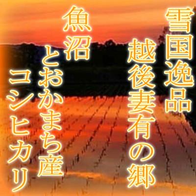 ふるさと納税 十日町市 【令和7年産　先行受付】【雪国逸品2Kg】 越後妻有の郷 魚沼十日町産コシヒカリ(精米) |  | 03