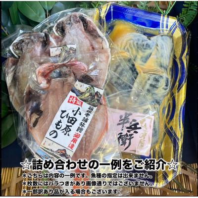 ふるさと納税 小田原市 【2ヵ月毎定期便】厳選!おまかせ干物セット【梅】小田原の美味しい干物!【神奈川県小田原市早川】全4回 |  | 01