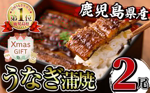 i505-Xm 【クリスマスギフト】  鹿児島県産うなぎ蒲焼 (2尾) 1尾約140g うなぎ 鰻 ウナギ 蒲焼き 国産 鹿児島県産 焼きたて 生産量日本一 真空パック おかず 晩御飯 贈答 ギフト プレゼント クリスマス 【薩摩川内鰻】