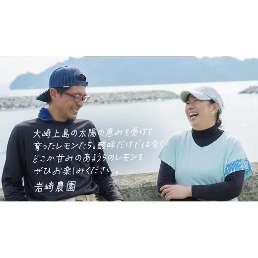 【先行予約】 もぎたてフレッシュ！ せとうちレモン 約5kg (約 40～50個程度 ) 2026年12月中旬～2027年1月発送 ワックス防腐剤不使用 皮まで丸ごと食べられる