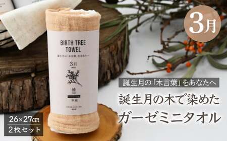 3月「檜(ヒノキ)」の木言葉 「不滅」 BIRTH TREE TOWEL |  ガーゼ ガーゼ ガーゼ ガーゼ ガーゼタオル ガーゼハンカチ タオル ハンカチ ふわふわ 草木染 染め RYOKUSUIEN 緑酔園 埼玉県 草加市 草加
