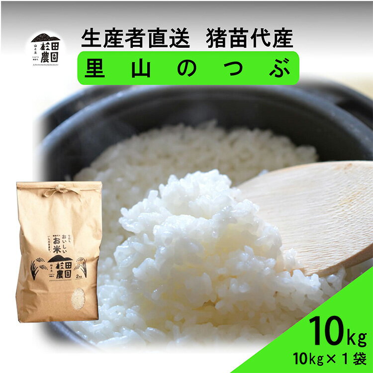 【ふるさと納税】【令和7年度産】 米 里山のつぶ 10kg(10kg×1袋) 白米 精米 | 米 こめ ごはん 10キロ 国産米 ブランド米 福島県産 農家直送 産地直送 生産者直送 杉田農園 おにぎり 家庭用 精米済み 猪苗代町