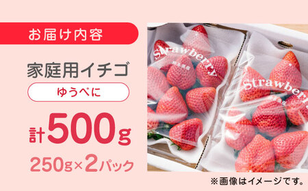 【2024年12月〜順次発送】熊本県産 ゆうべに いちご  計500g ( 250g × 2P ) 農園直送 産地直送 熊本県産 いちご イチゴ 苺 山都町産 いちご 完熟 いちご イチゴ 苺 いちご