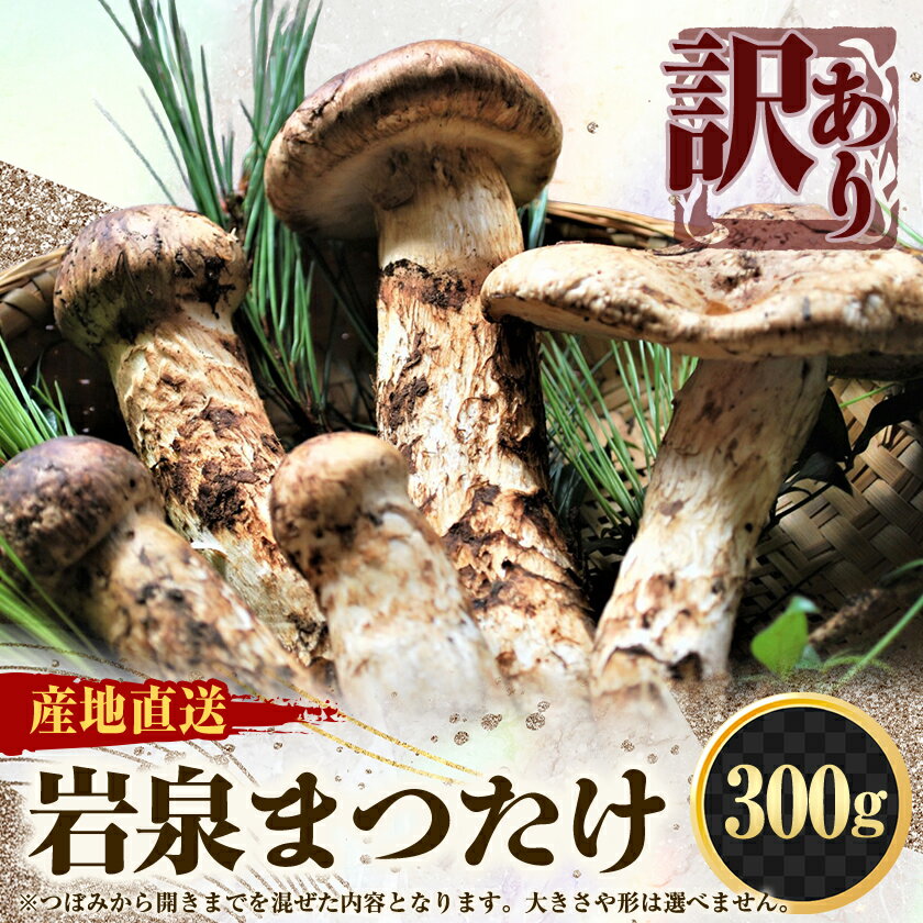 【ふるさと納税】【2026秋発送】【訳アリ】 岩泉まつたけ 300g　家庭用にどうぞ_ 訳あり 松茸 まつたけ 焼き松茸 秋の味覚 マツタケ きのこ キノコ 旬の野菜 炊き込みご飯 土瓶蒸し 家庭用 岩手県 岩泉町 送料無料 【配送不可地域：離島】【1423709】