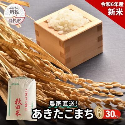 ふるさと納税 能代市 玄米 農家直送!秋田県産 あきたこまち 30kg[No.5335-0185]