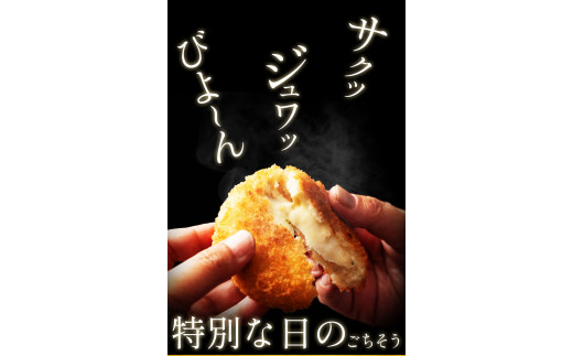 【ふるさと納税】【6回定期便】コロッケチーズシリーズ