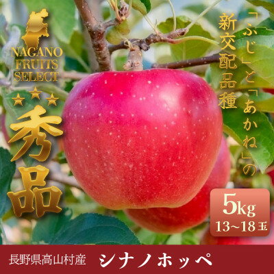 【ふるさと納税】ふじとあかねの新交配りんご「シナノホッペ」 5kg(13～18玉)【1699321】