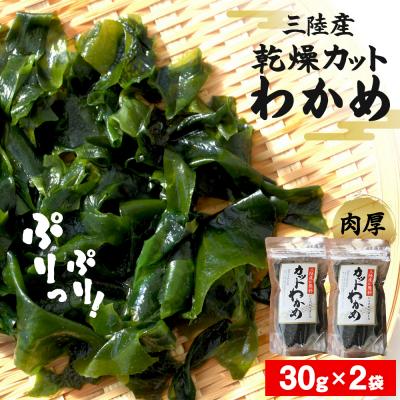 ふるさと納税 石巻市 乾燥 カット わかめ (30g×2袋) 三陸産 カットわかめ 乾燥わかめ 常備品 海藻 宮城県産