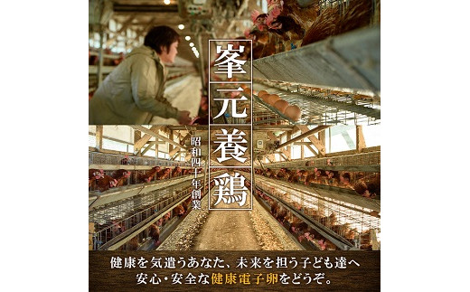 鹿児島県産！健康電子卵(計80個・10個入り×8P、M~Lサイズ)電子イオンを与えた水と飼料で体質改善された親鶏から生まれた新鮮なタマゴ！小分けパック入り【峯元養鶏】【A-1052H】