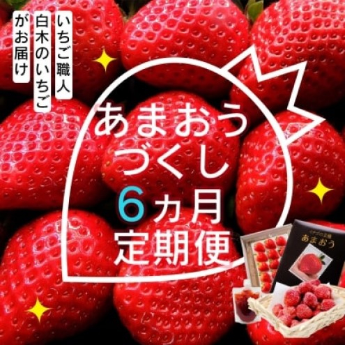 
                  定期便 6ヶ月 いちご いちご職人 白木のいちご あまおうづくし 6回 コース イチゴ 苺 果物 デザート お楽しみ ※配送不可：沖縄・離島
                