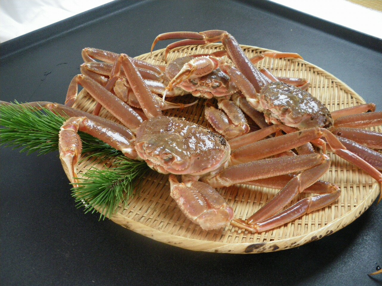 【ふるさと納税】鳥取県産　訳あり活松葉がに　2〜3枚で1.2kg以上（1〜4本足落ち）[88]