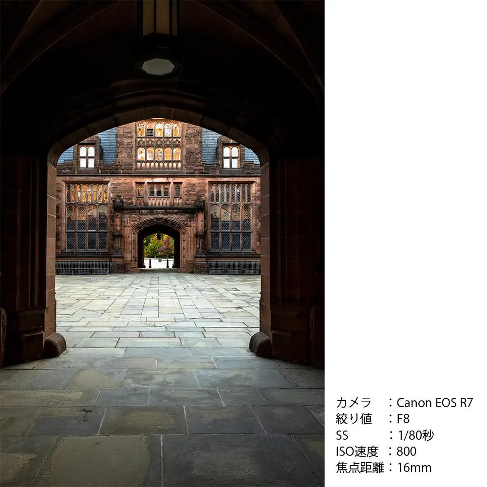 SIGMA 16mm F1.4 DC DN | Contemporary【Lマウント】シグマ ライカ カメラ レンズ 家電