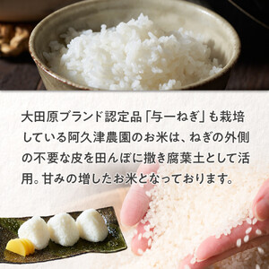 【令和7年産 】栃木県 大田原市産 コシヒカリ 白米 5kg ｜コメ お米 銘柄米 農家直送 産地直送 産直 数量限定