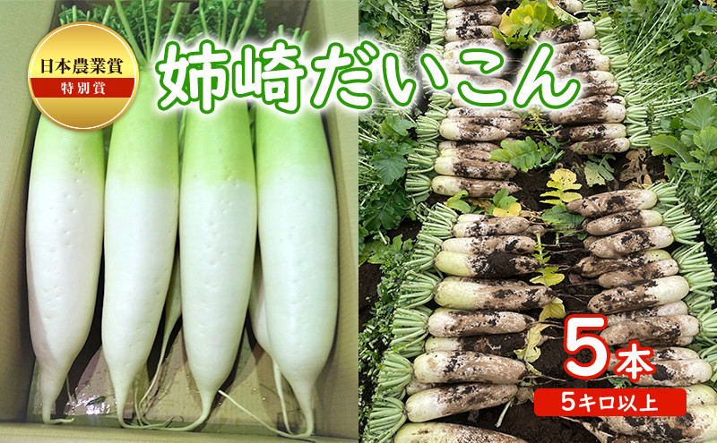 
日本農業賞の特別賞　姉崎大根 5本　5キロ以上 [№5689-0695]
