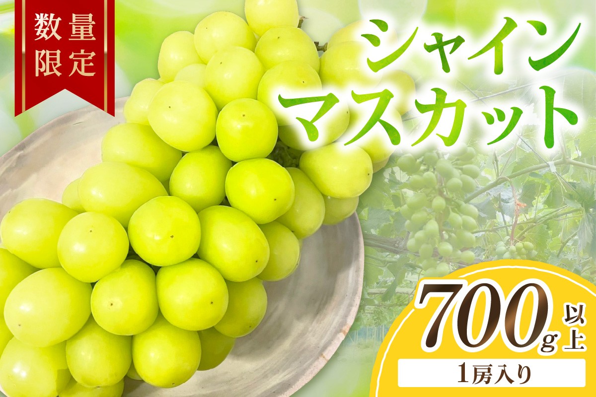 
                  シャインマスカット ぶどう 先行予約 700g以上（1房入り）（2026年9月上旬～発送）　フルーツ 果物 くだもの シャインマスカット ぶどう ブドウ 葡萄 贈り物 京都 京丹後産　FK00016
                